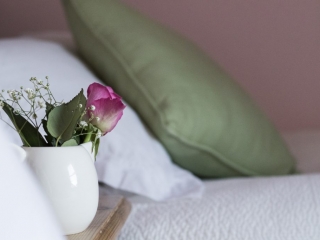 close up image of crisp white linens and decorative plant